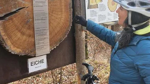 Une véloroute écologique reliant Strasbourg à Stuttgart