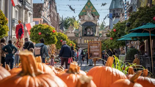 Que faire pendant les vacances de la Toussaint en Alsace ?