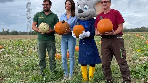 Peter et les 180 000 citrouilles d’Europa-Park