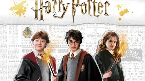 Harry Potter fête ses 25 ans dans plusieurs librairies d'Alsace