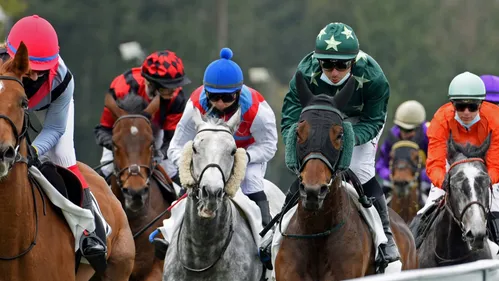 Réunion en vue à l'hippodrome de Wissembourg
