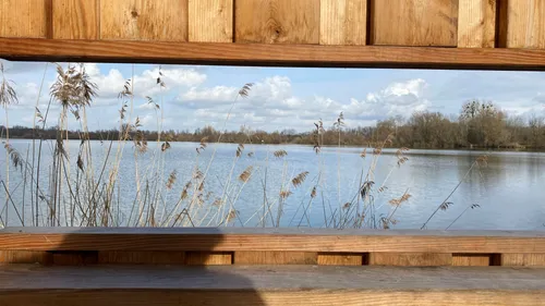 Strasbourg, une nature à observer