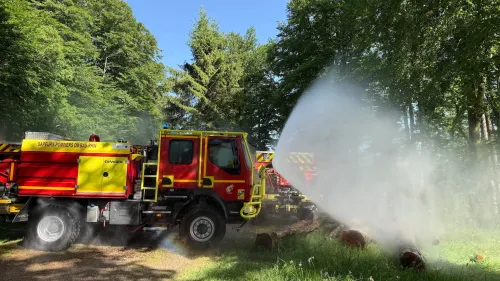 L’Alsace prête à lutter contre les feux de forêts