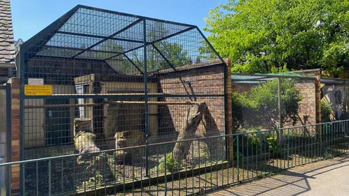 Strasbourg : le zoo de l’Orangerie tente de se réinventer