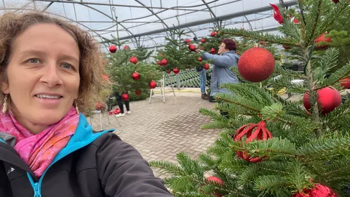 Le crush du jour : les lutins préparent Noël à Sélestat