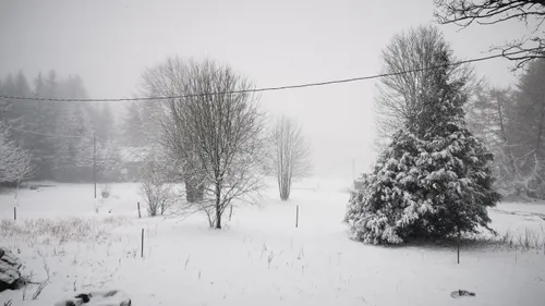 La neige arrive en Alsace... petit tour d'horizon