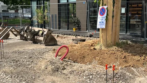 Strasbourg : de nouvelles mesures pour protéger les arbres