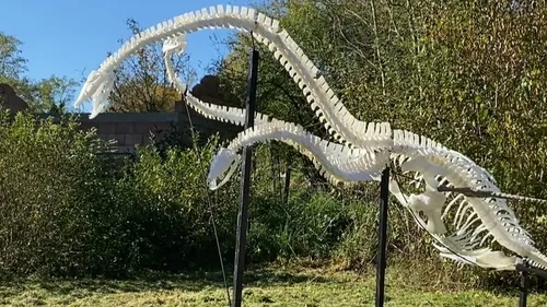 Un chercheur de dinosaures au Parc de Sainte-Croix