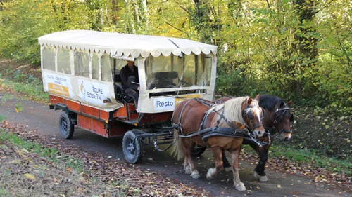 Un resto roulotte en Alsace