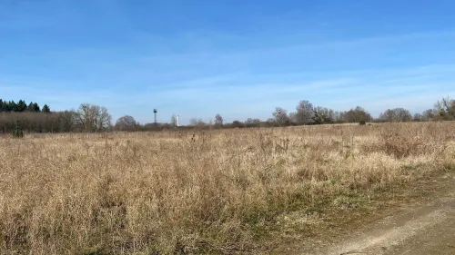 Une centrale photovoltaïque va voir le jour à Reichstett