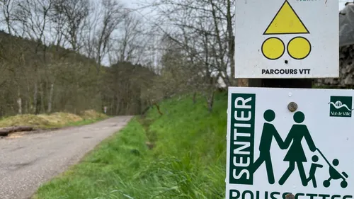 Le crush du jour : des sentiers poussettes dans la Vallée de Villé