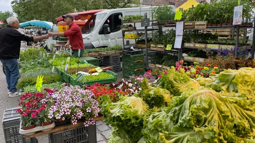 Agriculture : trop de pluie… et maintenant le soleil ?