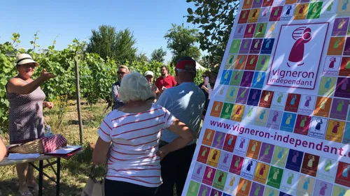 On pique-nique chez le Vigneron indépendant à la Pentecôte