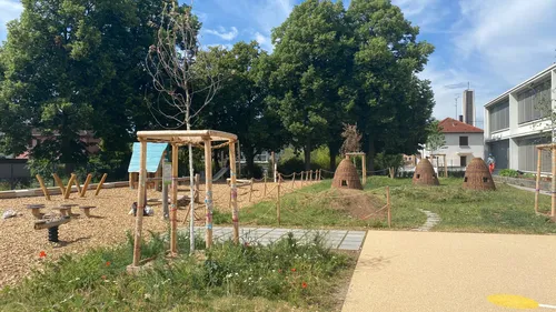 De nouvelles activités dans les cours d'école végétalisées