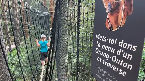 Le crush du jour : un nouveau parcours à la Montagne des singes