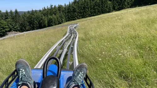 Les luges d’été à tester dans les Vosges