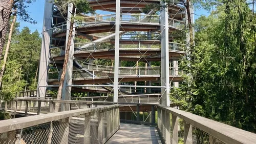 Idée sortie : une balade au-dessus des arbres à Drachenbronn