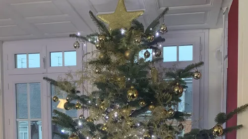 Nos conseils pour réussir votre sapin 