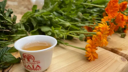 Les Jardins de Gaïa relocalisent en Alsace