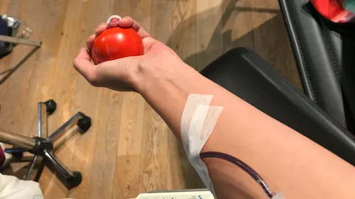 Don du sang : on recherche en urgence des donneurs O négatif