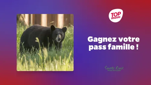 Gagnez un pass famille pour le Parc animalier de Sainte Croix !