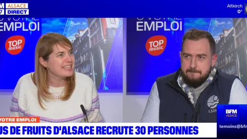 Sarre-Union : Jus de Fruits d'Alsace recrute 30 personnes en 2024