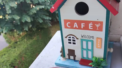 Chaleurs : les animaux sauvages aussi en difficulté