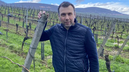 Domaine Moltès : Crémant d'excellence à Pfaffenheim