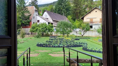 Barr : l'Histoire se cultive 