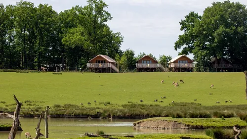 Record battu pour le Parc animalier de Sainte-Croix