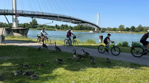 Trésors du Rhin : idées de balades et cadeaux à gagner !