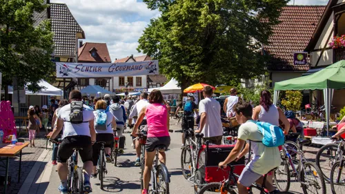 Tous à vélo sur la Route des vins avec le SlowUp !