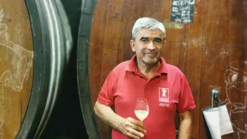 Vignoble alsacien : la "bonne surprise" du millésime 2023