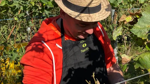 La saison oenotouristique redémarre