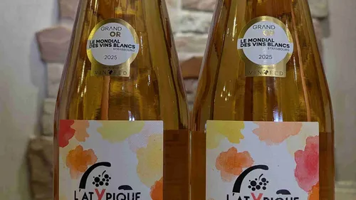 Le vin orange, un vin à part