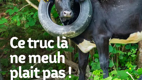 Elsàssputz : on nettoie la nature en Alsace