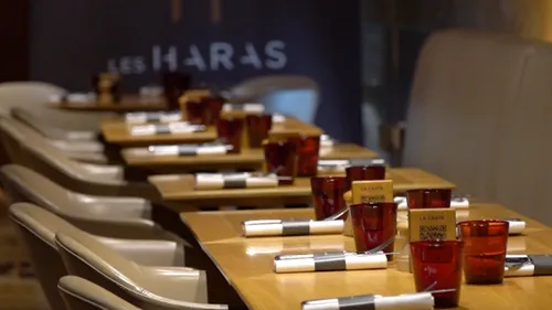 Dans les coulisses de la brasserie des Haras : reconquérir la jeunesse