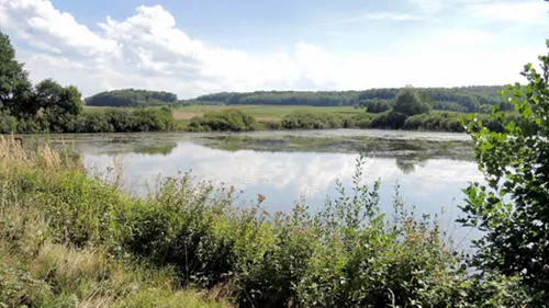 Les lauréats 2026 du programme Patrimoine Naturel & Biodiversité en...