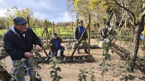 Parrainez un pommier à l’Ecomusée d’Alsace