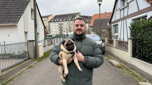 Il fait bon vivre avec son chien à Strasbourg, moins à Mulhouse 