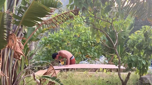 Deux festivals pour que (re)vive la musique à Sélestat