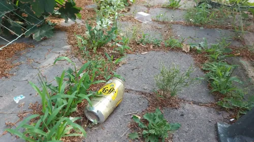 Strasbourg durcit les sanctions contre la pollution urbaine