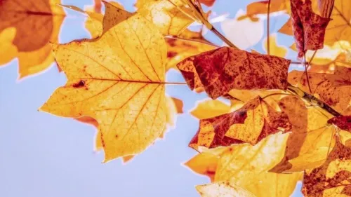 Coup de chaud sur l’Alsace : jusqu’à 30°