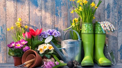 Jardinez après les Saints de glace