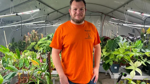 "Energumène" spécialiste des plantes d'intérieur en Alsace