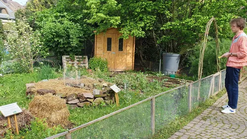 48H pour apprendre à jardiner en ville 