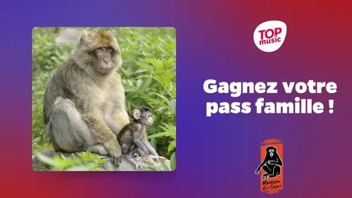 Gagnez votre pass famille pour la Montagne des Singes !