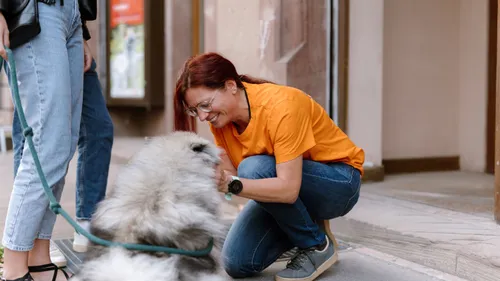 Strasbourg : une garde ponctuelle de votre chien