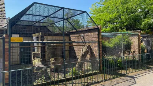 Un nouveau nom pour l'ancien zoo de l'Orangerie 