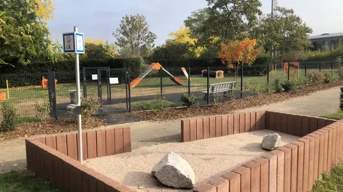 Des chiens en liberté au parc canin de Colmar 